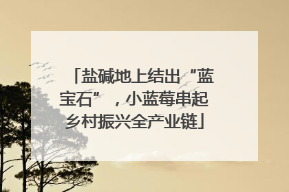 盐碱地上结出“蓝宝石”，小蓝莓串起乡村振兴全产业链