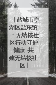 盐城市亭湖区盐东镇：无结核社区行动守护健康 ·共建无结核社区