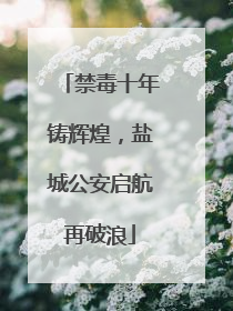 禁毒十年铸辉煌，盐城公安启航再破浪