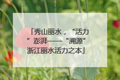 秀山丽水，“活力”澎湃——“溯源”浙江丽水活力之本