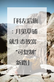 科左后旗：月见草铺就生态致富“可复制”新路