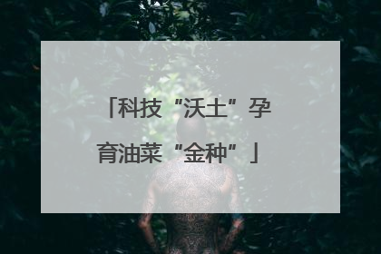 科技“沃土”孕育油菜“金种”