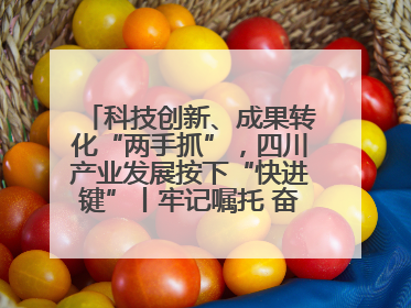 科技创新、成果转化“两手抓”，四川产业发展按下“快进键”丨牢记嘱托 奋力打造两高地两基地一屏障