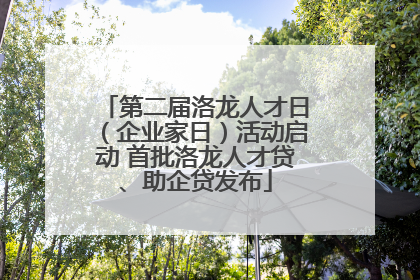 第二届洛龙人才日（企业家日）活动启动 首批洛龙人才贷、助企贷发布