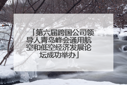 第六届跨国公司领导人青岛峰会通用航空和低空经济发展论坛成功举办