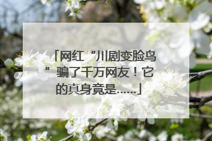网红“川剧变脸鸟”骗了千万网友！它的真身竟是……