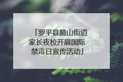 罗平县腊山街道家长夜校开展国际禁毒日宣传活动