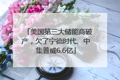 美国第三大储能商破产，欠了宁德时代、中集普威6.6亿