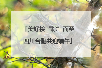 美好接“粽”而至 四川台胞共迎端午