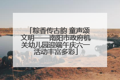 粽香传古韵 童声颂文明——南阳市政府机关幼儿园迎端午庆六一活动丰富多彩
