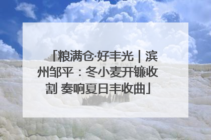 粮满仓·好丰光｜滨州邹平：冬小麦开镰收割 奏响夏日丰收曲