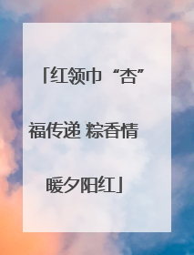 红领巾“杏”福传递 粽香情暖夕阳红