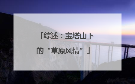综述：宝塔山下的“草原风情”