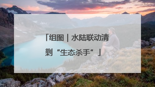 组图｜水陆联动清剿“生态杀手”