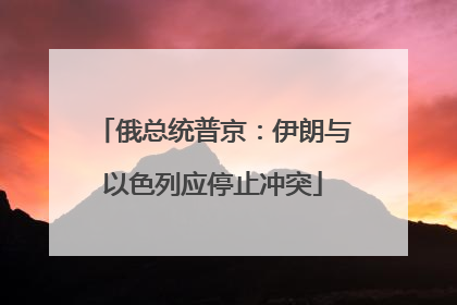 俄总统普京：伊朗与以色列应停止冲突