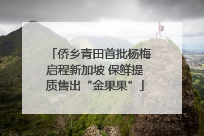 侨乡青田首批杨梅启程新加坡 保鲜提质售出“金果果”