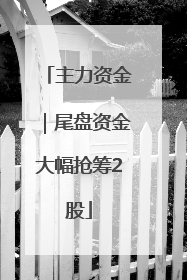 主力资金｜尾盘资金大幅抢筹2股