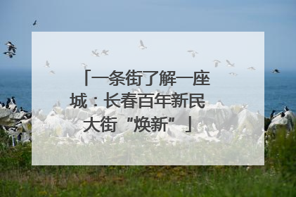 一条街了解一座城：长春百年新民大街“焕新”