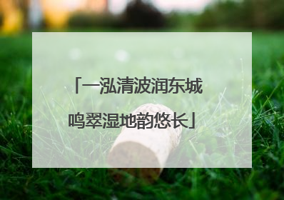 一泓清波润东城 鸣翠湿地韵悠长