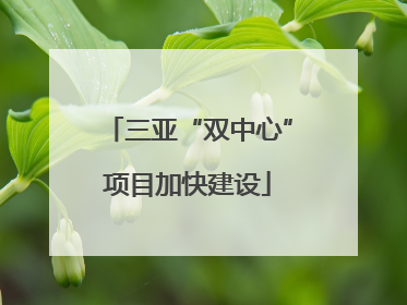 三亚“双中心”项目加快建设