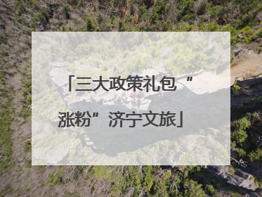 三大政策礼包“涨粉”济宁文旅