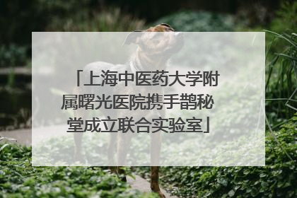 上海中医药大学附属曙光医院携手鹊秘堂成立联合实验室
