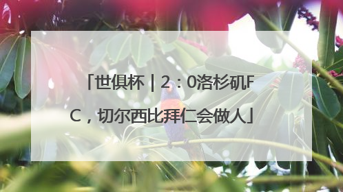 世俱杯｜2：0洛杉矶FC，切尔西比拜仁会做人