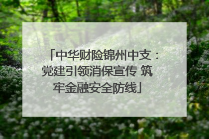 中华财险锦州中支：党建引领消保宣传 筑牢金融安全防线