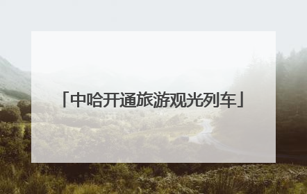 中哈开通旅游观光列车