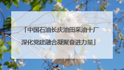 中国石油长庆油田采油十厂深化党建融合凝聚奋进力量