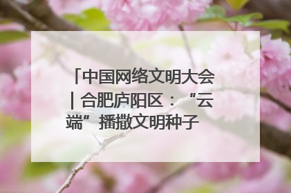 中国网络文明大会｜合肥庐阳区：“云端”播撒文明种子 共建清朗网络空间