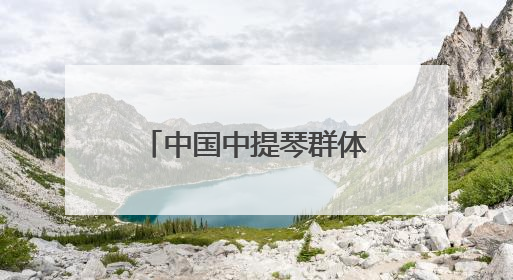 中国中提琴群体崛起缩影，上音学生林怡秀中提琴国际赛事夺冠
