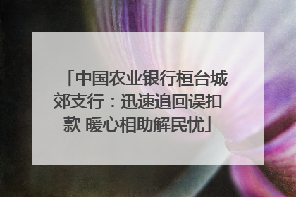 中国农业银行桓台城郊支行：迅速追回误扣款 暖心相助解民忧