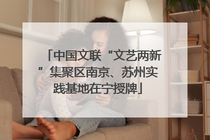 中国文联“文艺两新”集聚区南京、苏州实践基地在宁授牌