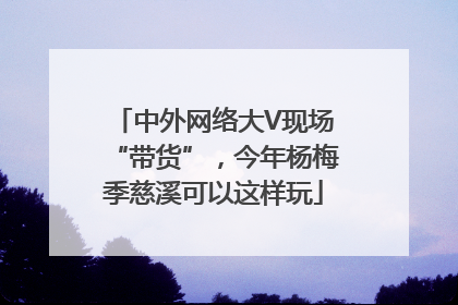 中外网络大V现场“带货”，今年杨梅季慈溪可以这样玩