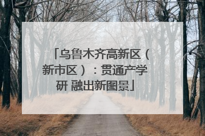 乌鲁木齐高新区（新市区）：贯通产学研 融出新图景