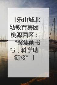 乐山城北幼教育集团桃源园区：“聚焦前书写，科学助衔接”