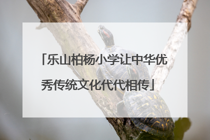 乐山柏杨小学让中华优秀传统文化代代相传