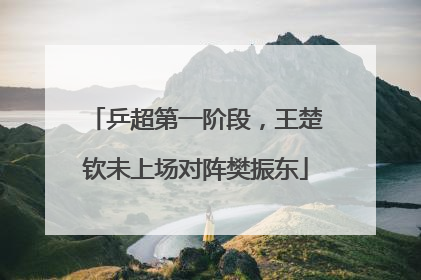 乒超第一阶段，王楚钦未上场对阵樊振东