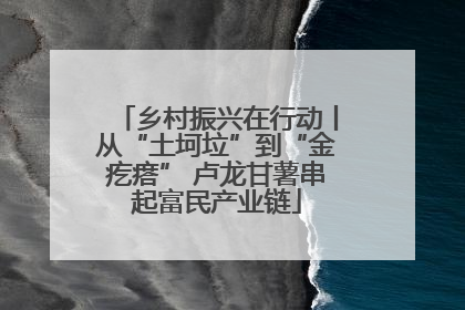 乡村振兴在行动丨从“土坷垃”到“金疙瘩” 卢龙甘薯串起富民产业链