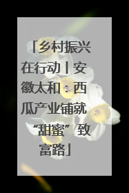 乡村振兴在行动丨安徽太和：西瓜产业铺就“甜蜜”致富路