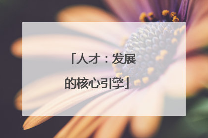 人才：发展的核心引擎