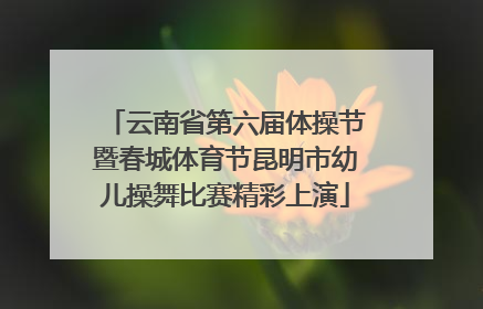 云南省第六届体操节暨春城体育节昆明市幼儿操舞比赛精彩上演