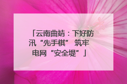 云南曲靖：下好防汛“先手棋” 筑牢电网“安全堤”