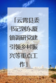 云霄县委书记到东厦镇调研党建引领乡村振兴等重点工作