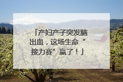 产妇产子突发脑出血，这场生命“接力赛”赢了！
