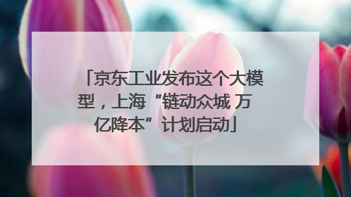 京东工业发布这个大模型，上海“链动众城 万亿降本”计划启动