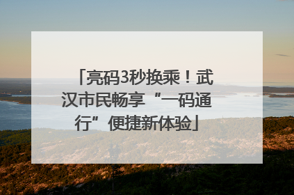 亮码3秒换乘！武汉市民畅享“一码通行”便捷新体验