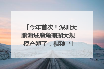 今年首次！深圳大鹏海域鹿角珊瑚大规模产卵了，视频→