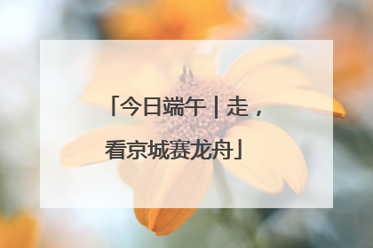 今日端午｜走，看京城赛龙舟